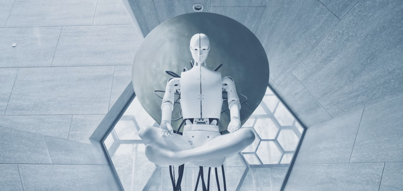 robots-datainnovation