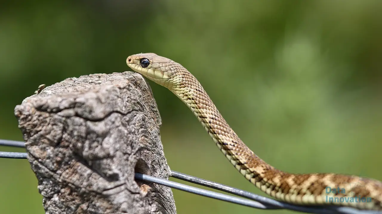7 Essential Python Libraries Every Analytics Engineer Needs
