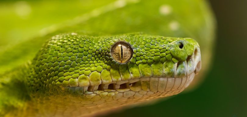 7 Essential Python Libraries Every Analytics Engineer Needs