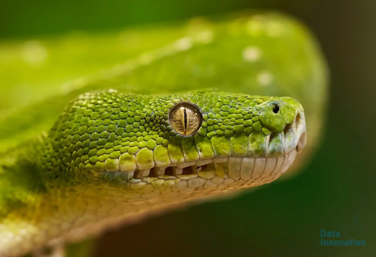 7 Essential Python Libraries Every Analytics Engineer Needs