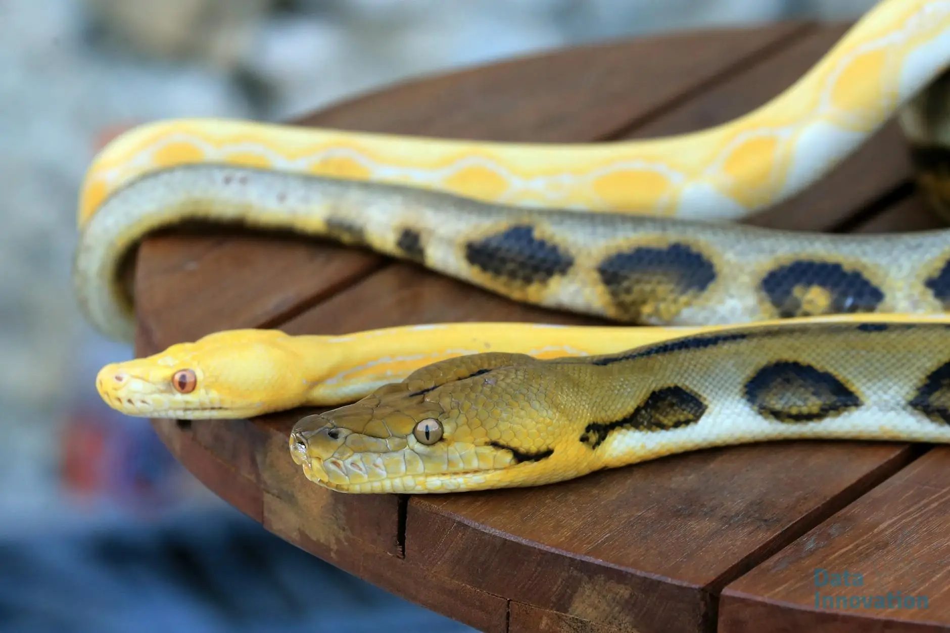 7 Essential Python Libraries for Analytics Engineers
