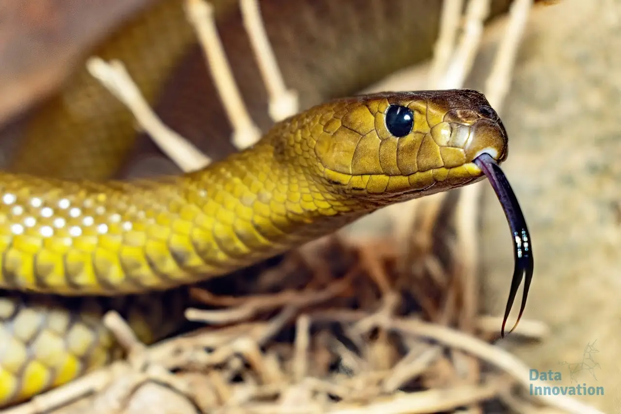 7 Essential Python Libraries for Every Analytics Engineer