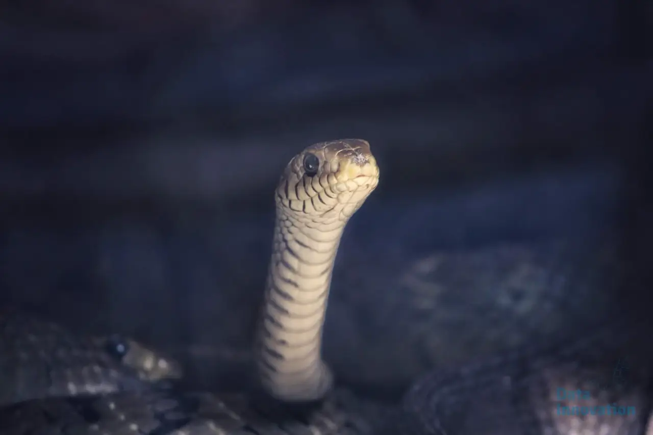 7 Essential Python Libraries for Every Analytics Engineer