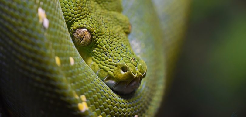 7 Essential Python Libraries for Every Analytical Engineer