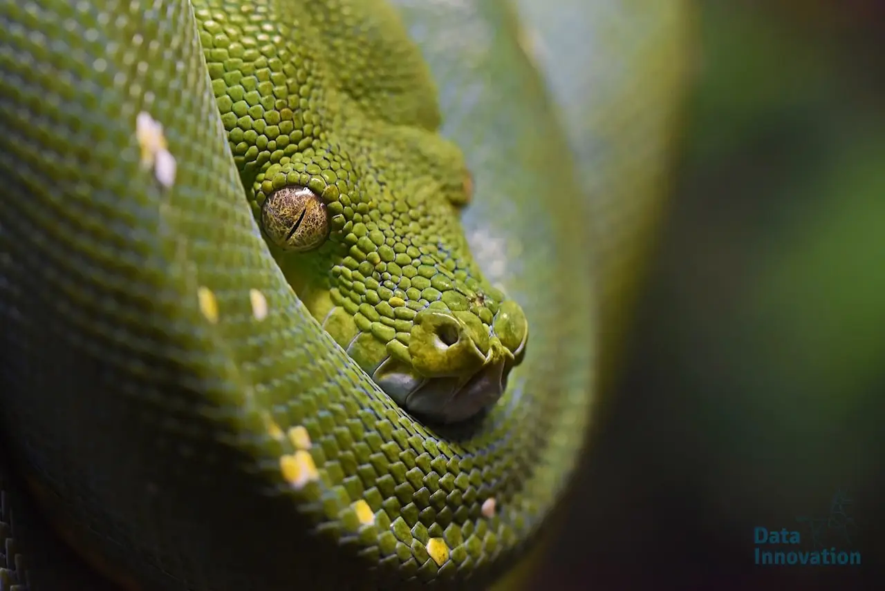 7 Essential Python Libraries for Every Analytical Engineer