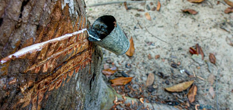 Comprehensive SAP Business Process Optimization for Large Enterprises with BPX