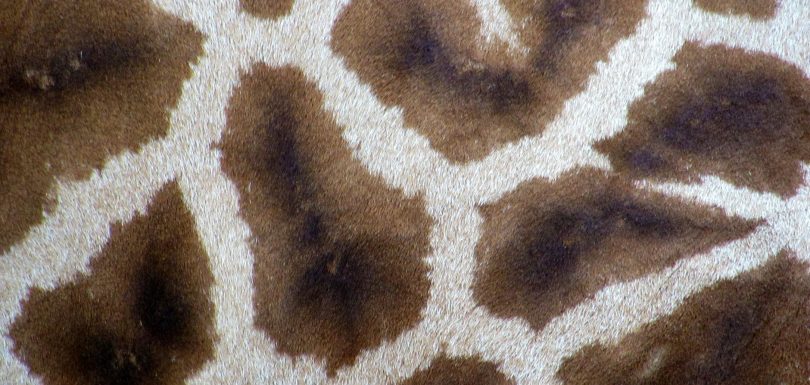 Highsnobiety to Shut Down E-Commerce and Lay Off Staff