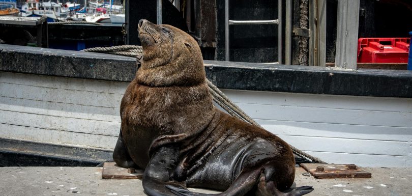 Highsnobiety to Shut Down E-Commerce and Lay Off Staff