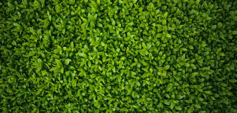 Highsnobiety to Shut Down E-commerce and Lay Off Staff