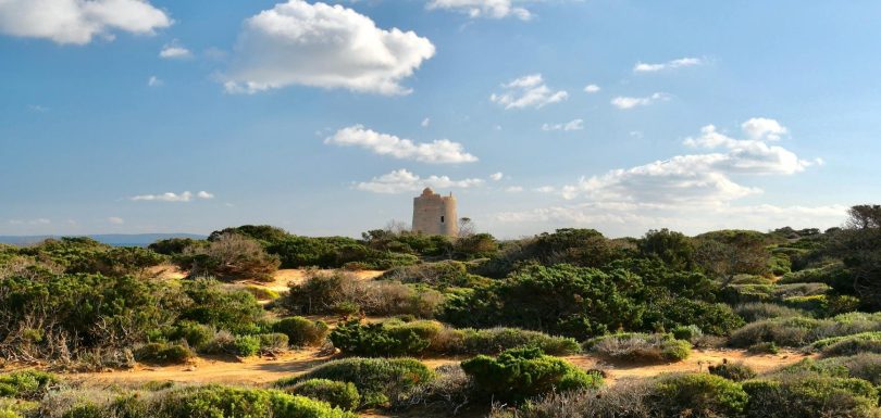 Improve Email Deliverability with Amazon SES Tenant Management