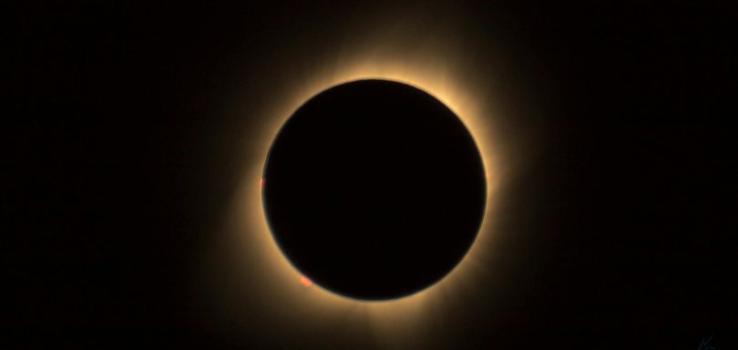 Total Bloom: Hearts Soaring from Investment and Analysis