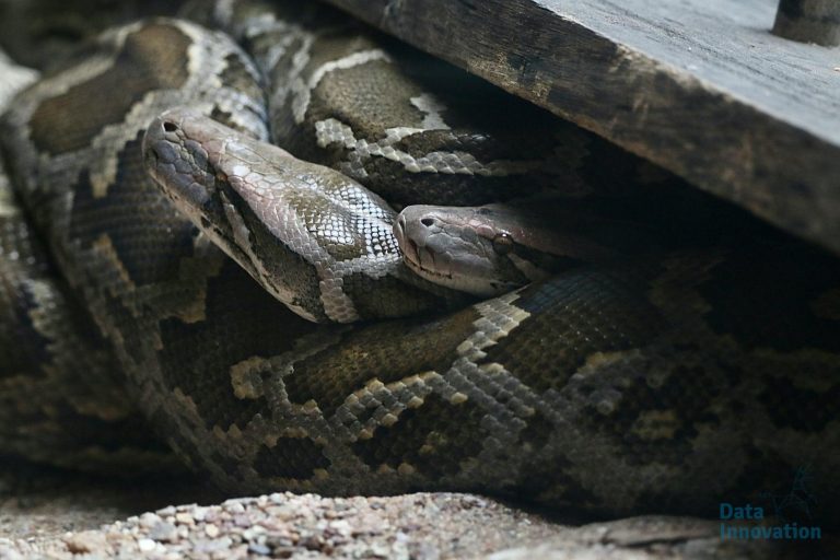 7 Bibliotecas de Python Esenciales para Todo Ingeniero de Analítica