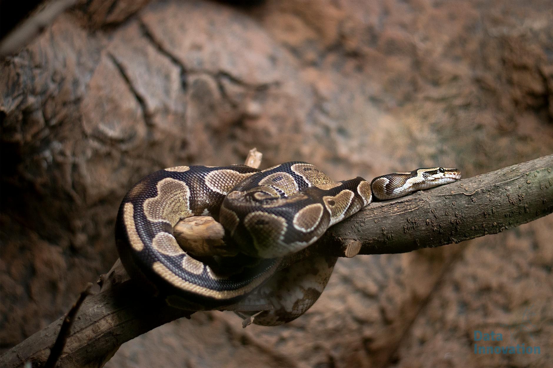 7 Bibliotecas de Python que Todo Ingeniero Analítico Debe Conocer