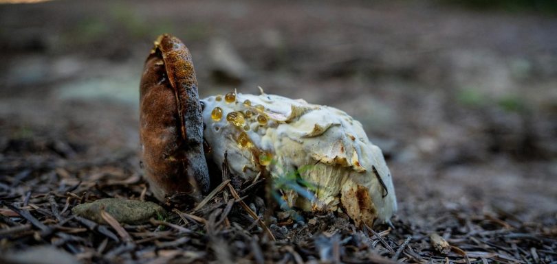 El cambio no es un proyecto, sino una capacidad: la visión de SAP sobre la optimización de procesos