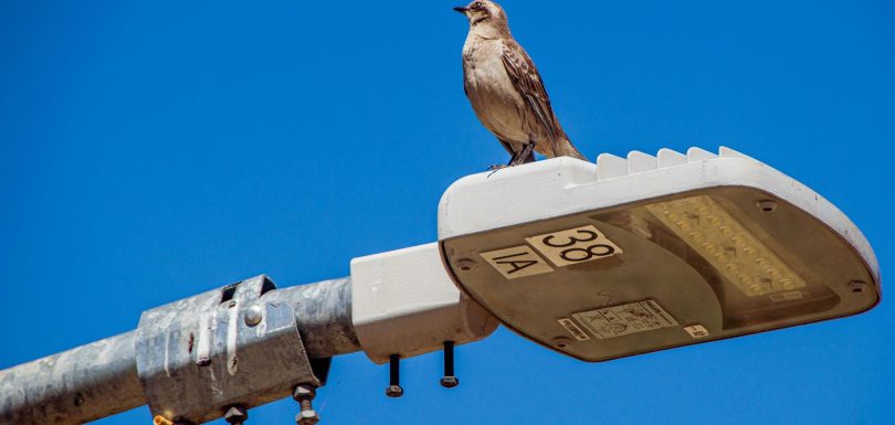 El horizonte de la IA: Sam Altman y la singularidad “amigable” que cambiará para siempre nuestro mundo