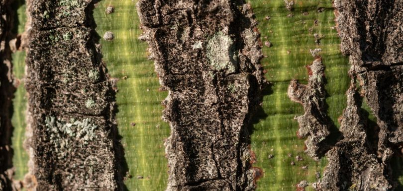 ETL Moderno: El Tronco Encefálico de la Inteligencia Artificial Empresarial