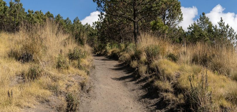 Implementación de IA: 13 Pasos para Lograr el Éxito en tu Empresa