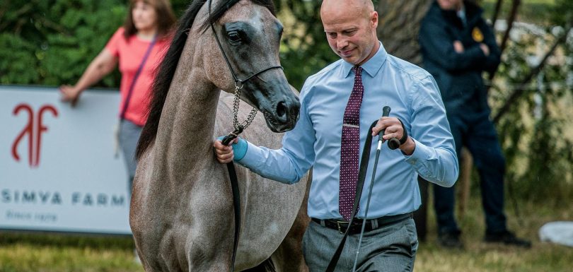 Por qué tus leads no cierran: El futuro de AI Sales Intelligence