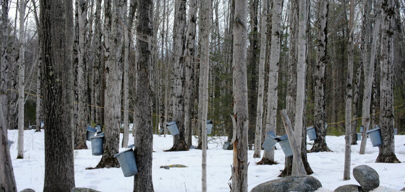 Transformación no es un proyecto, sino una capacidad: la visión de SAP sobre la optimización de procesos