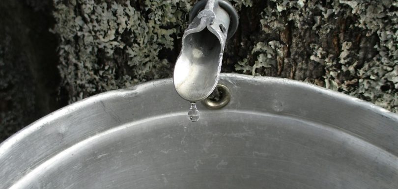 Transformación: una capacidad, no un proyecto – La visión de SAP sobre la optimización de procesos