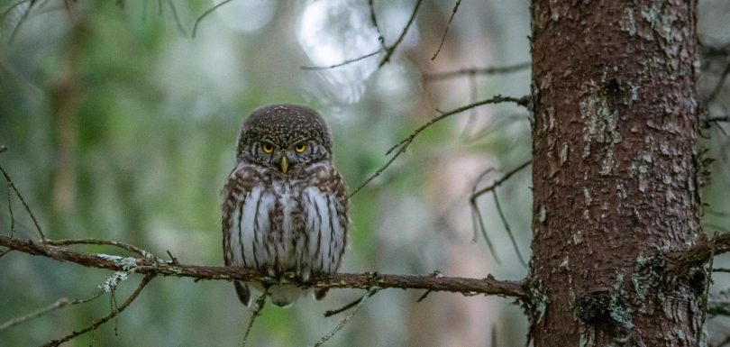 ZeroBounce ONE se presenta como la suite integral de entregabilidad de correos electrónicos para asegurar la llegada a la bandeja de entrada